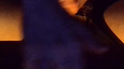 daddypervbuttprincess online show from June 2026 08:46:01 PM