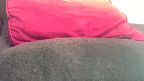 daddyy008 online show from November 2025 04:29:02 PM