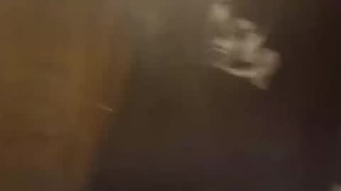 dadpervmind online show from February 2026 10:25:01 AM