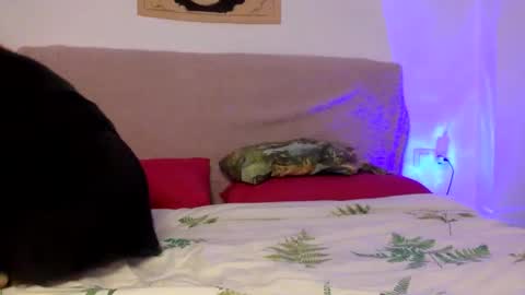 dafnesqueeze online show from January 2025 06:14:01 PM