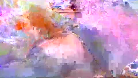 dafo1980 online show from April 2026 12:19:02 PM