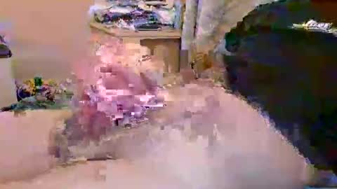 dafo1980 online show from April 2026 10:14:02 AM