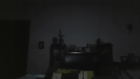 Snapshot of dag3rdick chatting on March 2025 03:57:01 AM Dager Dick online show from March 2025 03:57:01 AM