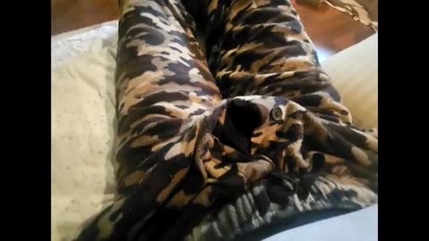 DailyJerker84 online show from November 2025 05:46:02 PM