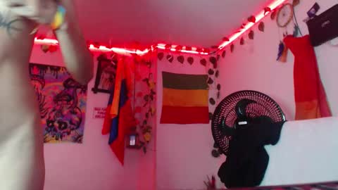 Dakko online show from January 2026 07:28:02 PM