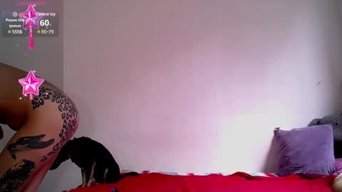 Dakota and Aron online show from December 2024 07:06:01 PM