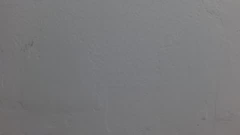 Snapshot of dakota_johnsson10 chatting on November 2025 06:40:02 PM Dakota Johnson online show from November 2025 06:40:02 PM