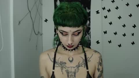 dakota online show from December 2024 02:42:01 AM