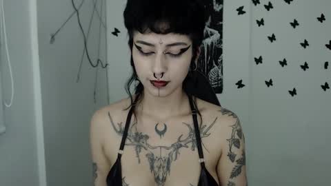 dakota online show from February 2025 05:51:02 AM