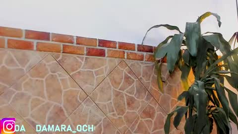         online show from February 2025 07:45:02 AM