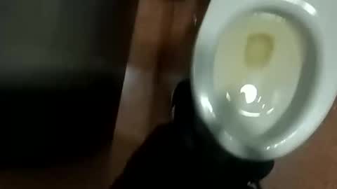 damian950 online show from April 2026 01:43:02 AM