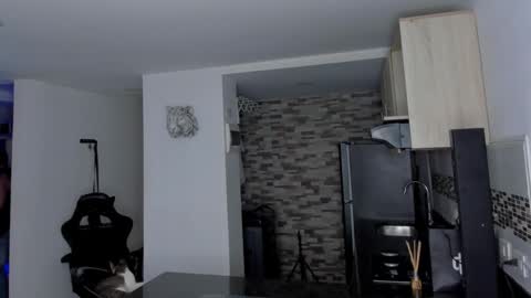 INSTAGRAM  DAMMIANMILLEROFICIAL online show from February 2026 12:45:02 PM