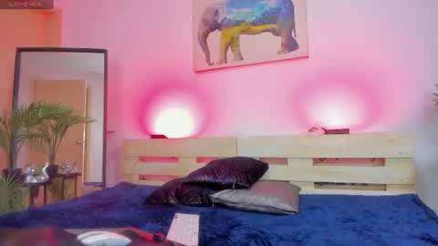    online show from July 2026 10:19:01 PM