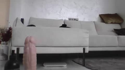 Dan online show from January 2025 09:13:01 AM