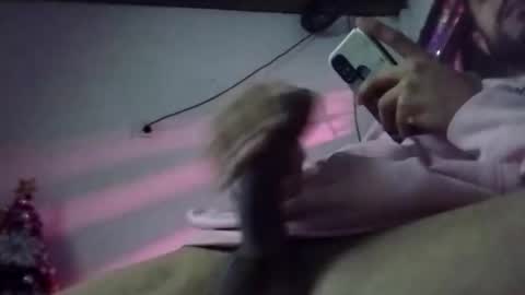 dani9821569006 online show from December 2024 07:51:01 AM