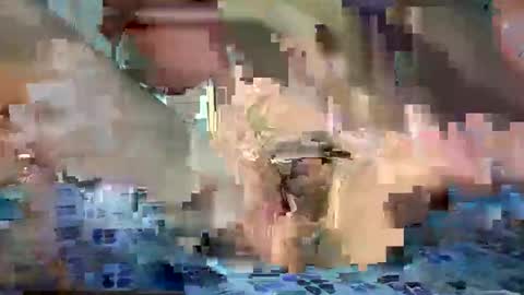 Snapshot of daniel_griffin chatting on May 2026 06:47:01 PM daniel_griffin online show from May 2026 06:47:01 PM