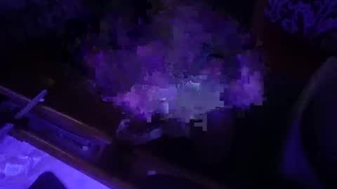 dankfuckcouple online show from September 2025 12:32:02 PM