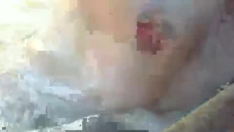 Snapshot of dankz4two0 chatting on January 2025 03:09:02 PM dankz4two0 online show from January 2025 03:09:02 PM