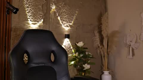 Snapshot of dann_saenz chatting on May 2026 05:10:01 PM Dann saenz online show from May 2026 05:10:01 PM