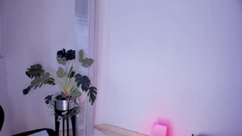 Snapshot of danna_stewart chatting on March 2025 04:39:02 AM Paulina online show from March 2025 04:39:02 AM