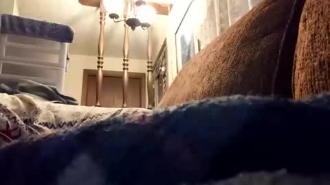 dannowisc online show from April 2026 11:02:02 AM