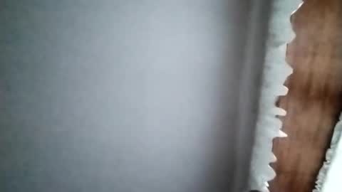 dannowisc online show from April 2026 11:13:02 AM