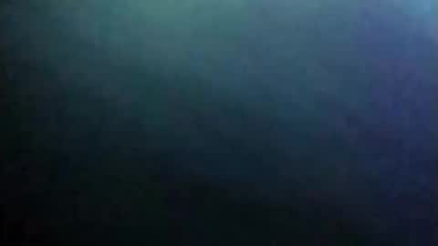 dannowisc online show from June 2026 09:59:01 AM