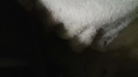 Danielle online show from October 2025 09:22:01 AM