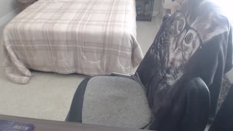 Danny bear online show from March 2025 11:14:01 PM