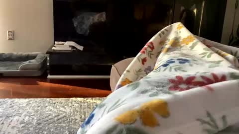 dannyboy621 online show from October 2025 01:17:01 PM