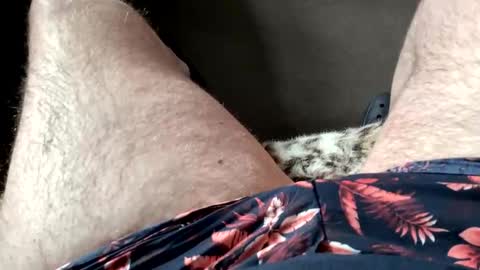 Dano B online show from March 2026 10:15:01 AM