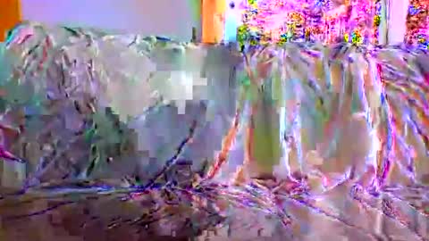 Snapshot of danwick69 chatting on September 2025 11:45:02 AM danwick69 online show from September 2025 11:45:02 AM