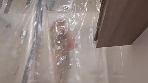 danydevil online show from February 2026 11:20:01 AM