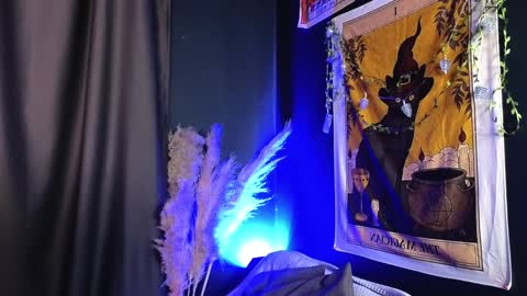 Vamp  online show from December 2024 09:09:02 PM