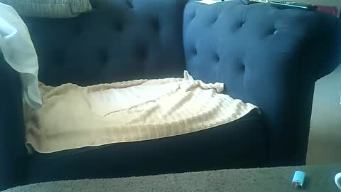 DarkAngel online show from January 2025 09:01:02 PM