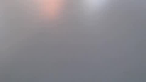 Snapshot of davdao3 chatting on March 2026 07:01:01 AM davdao3 online show from March 2026 07:01:01 AM