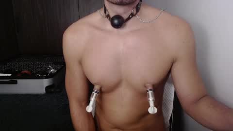 David online show from February 2025 08:11:01 PM