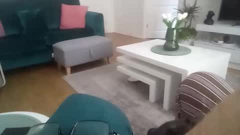 davf76 online show from April 2026 07:33:01 AM