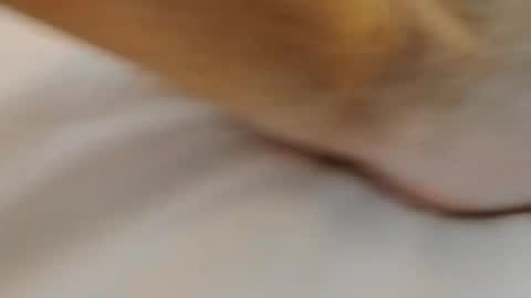 david1982yesyes online show from March 2026 02:02:01 PM