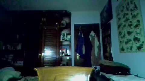 david33333333 online show from March 2025 04:33:02 PM