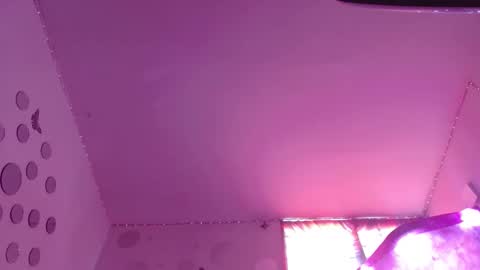 David Fox online show from November 2025 07:13:02 PM