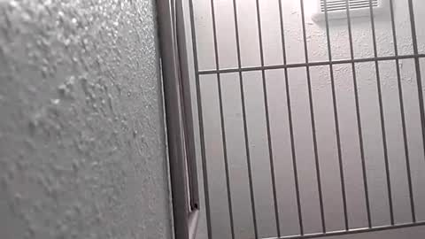 david_stone1969 online show from January 2025 08:10:02 PM