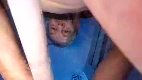 david_stone1969 online show from March 2025 03:13:02 PM