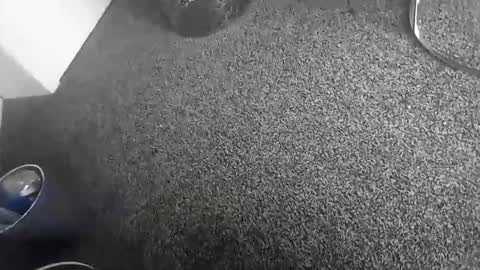 Snapshot of davidf75 chatting on November 2025 10:43:02 AM davidf75 online show from November 2025 10:43:02 AM