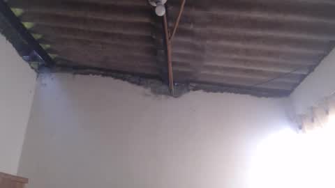 Dylon online show from October 2025 12:23:02 PM