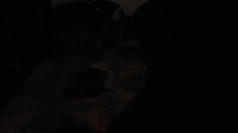 DC online show from November 2025 02:22:01 AM