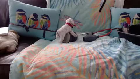 Snapshot of deeperjohnny chatting on October 2025 03:35:02 PM deeperjohnny online show from October 2025 03:35:02 PM