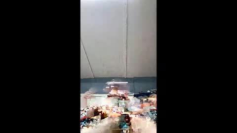 demonseed9325 online show from May 2026 04:08:01 AM