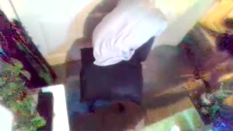 denveversbb online show from April 2026 08:51:01 PM