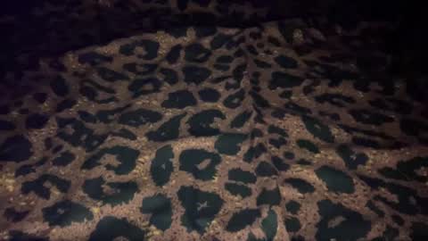 derek829099 online show from October 2025 07:06:01 AM